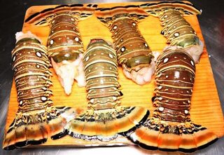Карибская кухня к рыболовному отдыху в Мексике