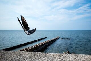 Ультралайт на Преголе, остров Канта - судачки и окуни, поездка в Калининград и область