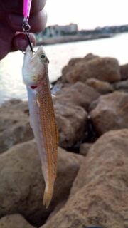 Кипр: морская рыбалка с пляжа на мормышку и пилькеры утром и на закате