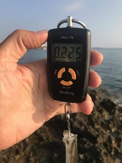 Кипр и Средиземное море: барракуда до килограмма, рыба-флейта и морской окунь на лёгкую снасть