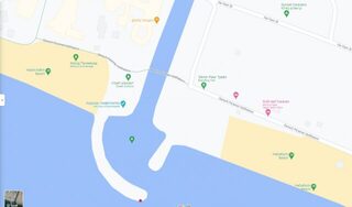 Флейт отличили по носу, когда они проплывали у буны после кальмаров