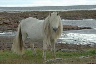Морские пейзажи Кольского полуострова из серии Беломорье, сезон 2010 года