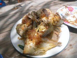 Мальдивы с каяком и троллинговыми снастями
