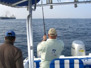 Фуджейра, ОАЭ: рыбалка в декабре 2011 года и новая подборка снимков автора