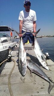 Рыбалка в Аджмане, ОАЭ: январский троллинг, а кингфиш вышел весом от 25 до 32 килограммов