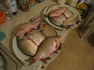 Язовир Порой с илистым берегом и карасик ровного размера на Мандре