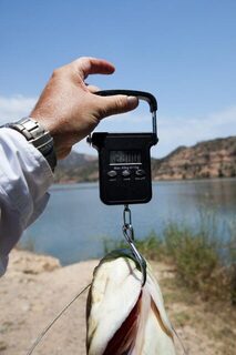 Испания: водохранилище Риба-Роха и Эбро ниже него - отчёт пропал, остались только фотографии
