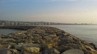 Немного ставриды на жареху и первая сардинка на резину с волнореза