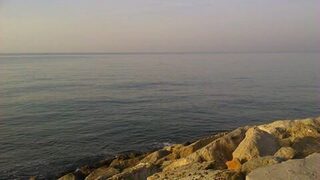 Немного ставриды на жареху и первая сардинка на резину с волнореза