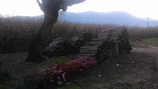 Испания, Каталуния: осенняя рыбалка, прозрачное небо, золотые листья и планы на новый сезон