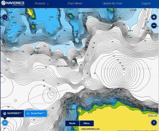 Для рельефа дна в Navionics нужен слой SonarChart