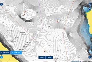 Foreneset на карте Navionics: где смотреть глубины
