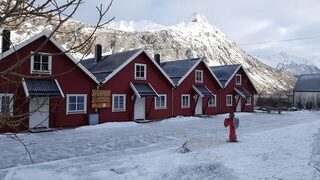Весенняя морская рыбалка в Норвегии, у Гриллефьорда на Сенье: треска на пилькер и палтус