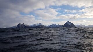 Весенняя морская рыбалка в Норвегии, у Гриллефьорда на Сенье: треска на пилькер и палтус