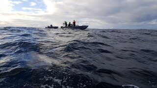 Весенняя морская рыбалка в Норвегии, у Гриллефьорда на Сенье: треска на пилькер и палтус