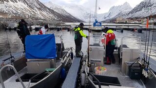 Весенняя морская рыбалка в Норвегии, у Гриллефьорда на Сенье: треска на пилькер и палтус