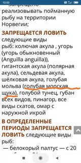 Не голубая ли щука попалась на крючок во время рыбалки?