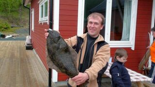 Уточните точку возле Lyngen, чтобы искать треску, зубатку и палтуса