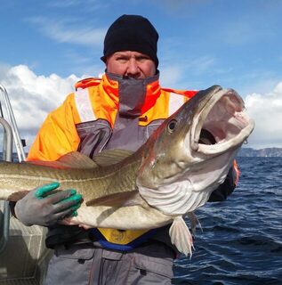 Небольшой фотоотчет о пребывании на базе BigfishAdventure