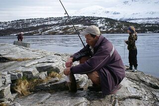 Норвегия, Хелла рядом с Тромсё: морская береговая ловля трески и зубатки на пилькеры с заброса