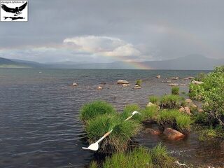 Швеция, озеро Торнетреск: почти три недели один с надувной лодкой, нахлыст, хариус и форель
