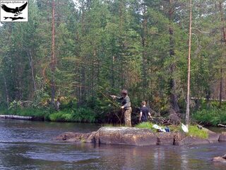 Швеция, заполярный хариус: прекрасная страна, замечательные люди и адреналин от сильной рыбы