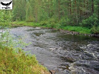 Швеция, заполярный хариус: прекрасная страна, замечательные люди и адреналин от сильной рыбы
