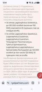 Перевод статьи Esenyel Partners о турецком решении № 8246
