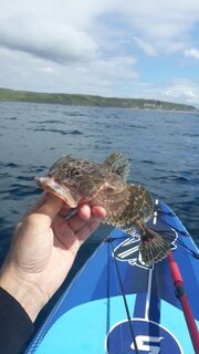 Морские бычки и морская рыбалка: место лова - в заливе Петра Великого, это Японское море