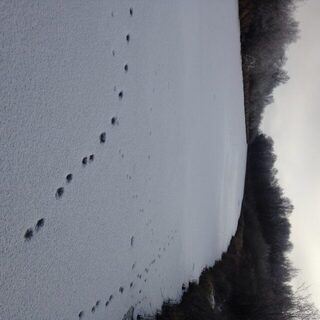 Поиски окуня в Лопатином Ерике привели к стае у Ахтубы на двухметровой глубине
