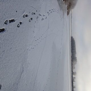 Поиски окуня в Лопатином Ерике привели к стае у Ахтубы на двухметровой глубине