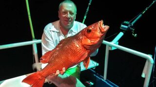 Таиланд, Пхукет и Симиланы: морская рыбалка джигом на групера и гигантского каранкса GT