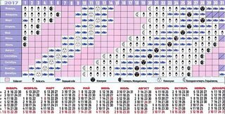 Есть ли связь между луной и береговым клевом рыбы или кальмара