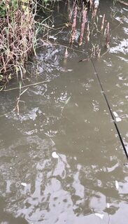 Таиланд: морской пляж для рыбалки с набережной в тени деревьев