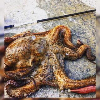 Свежие кадры Северного Кипра из соцсети