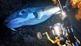 Сегодняшний баллон больше 5 кг стал моим новым рекордом