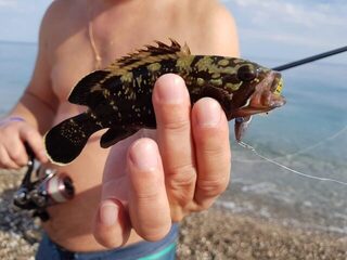 Вернулся из Кемера: на курицу клевало лучше, чем на силикон