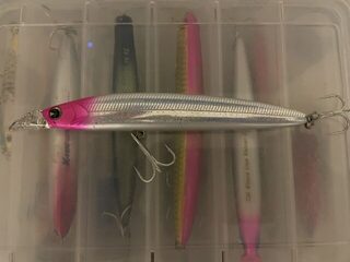 Flaming Dart 125F идет под поверхностью и выскакивает на рывках