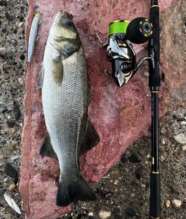 Турция, Анталийское побережье: ловля леврека в волны