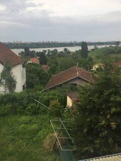Полчаса в Нови-Саде - и домой, в деревню