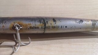 Старый рабочий воблер по сибасу и редкие выходы на песок