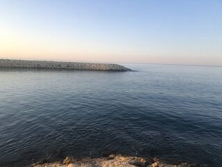 Средиземное море, Белек: береговая ловля с пирса ранним утром - фидер, поплавок и хлебная прикормка