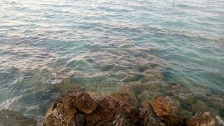 Египет, Хургада: морская ловля с лодки и берега на донку у кораллов в штиль