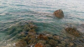 Египет, Хургада: морская ловля с лодки и берега на донку у кораллов в штиль
