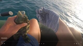 Египет, Хургада: морская ловля с лодки у кораллов и береговой ультралайт в мае-июне 2019