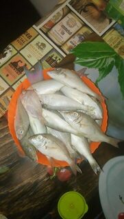 Египет, Хургада: морская ловля с лодки у кораллов и береговой ультралайт в мае-июне 2019