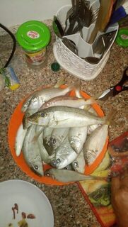 Египет, Хургада: морская ловля с лодки у кораллов и береговой ультралайт в мае-июне 2019