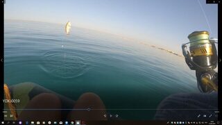 Египет, Хургада: морская ловля с лодки у кораллов и береговой ультралайт в мае-июне 2019