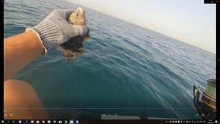 Египет, Хургада: морская ловля с лодки у кораллов и береговой ультралайт в мае-июне 2019