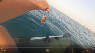Египет, Хургада: морская ловля с лодки у кораллов и береговой ультралайт в мае-июне 2019